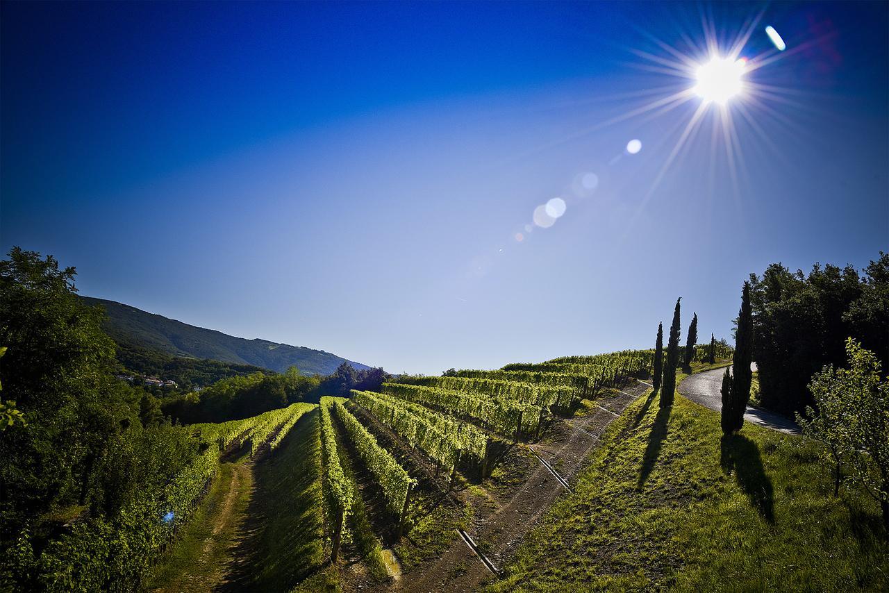 Venica & Venica Wine Resort Dolegna del Collio Exteriör bild